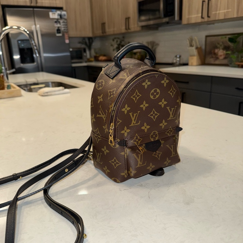 Louis Vuitton Mini Palm Springs Monogram Backpack